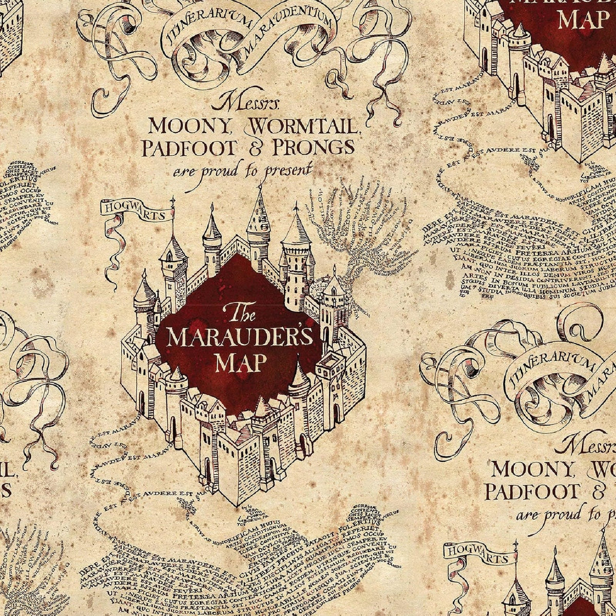 Buy Harry Potter Hogwarts Marauders Map Men's Briefly Stated