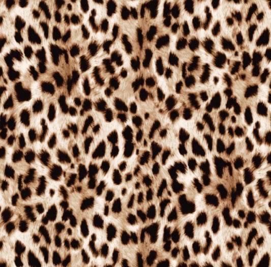 FS2007 Leopard Design