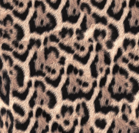 FS2006 Leopard Design