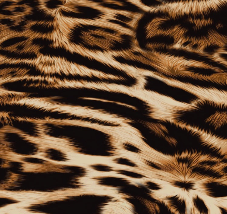 FS2002 Leopard Design