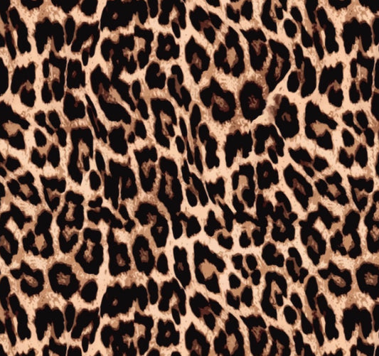 FS2009 Leopard Design