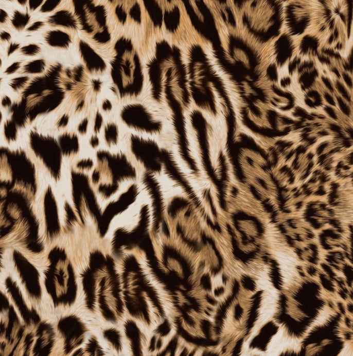 FS2003 Leopard Design