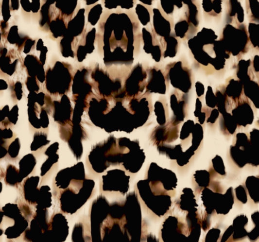 FS2010 Leopard Design