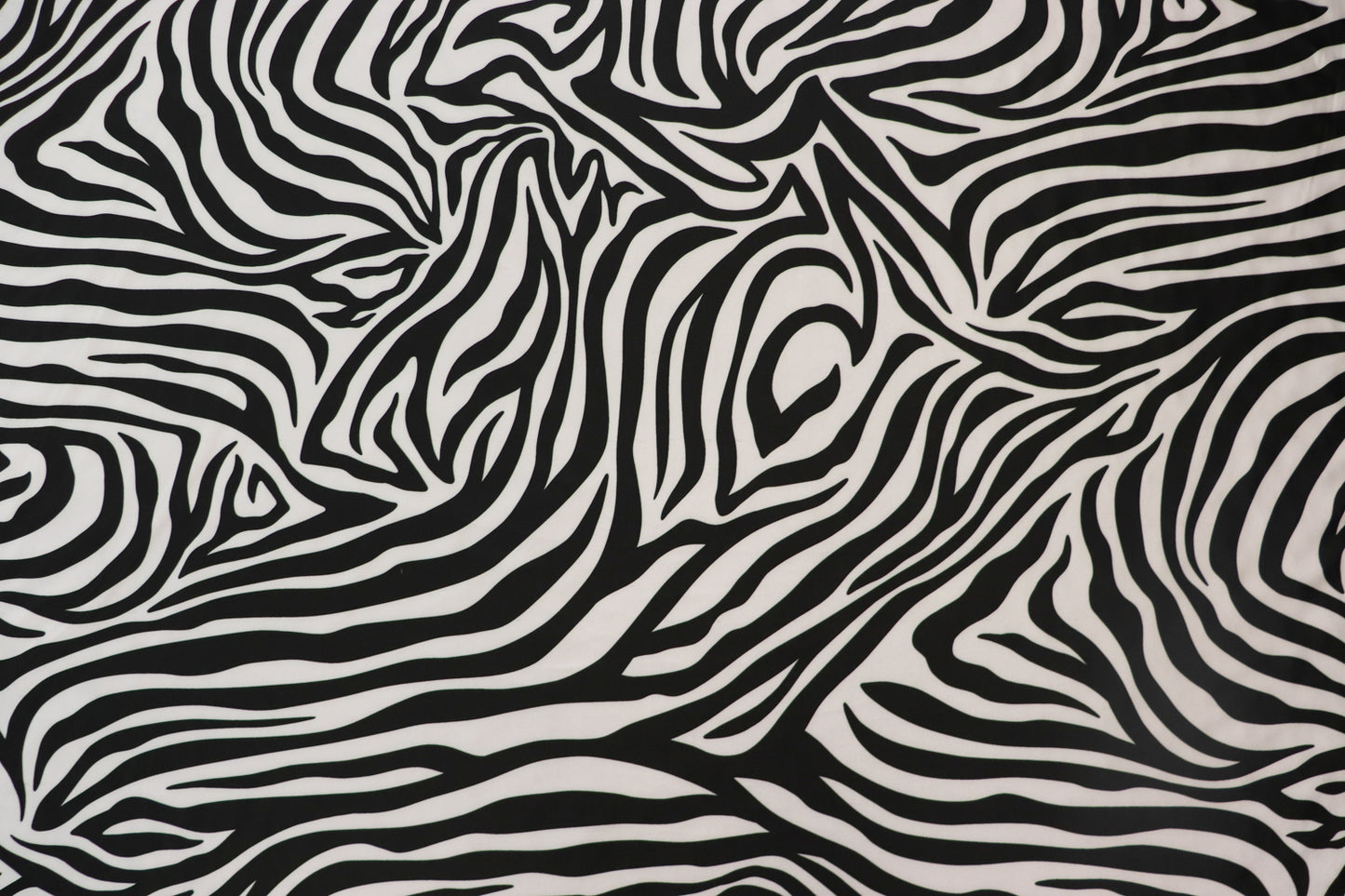 Monochrome Zebra Spandex