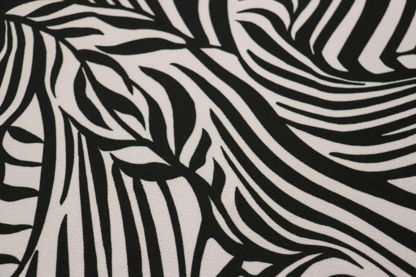 Monochrome Zebra (8D)