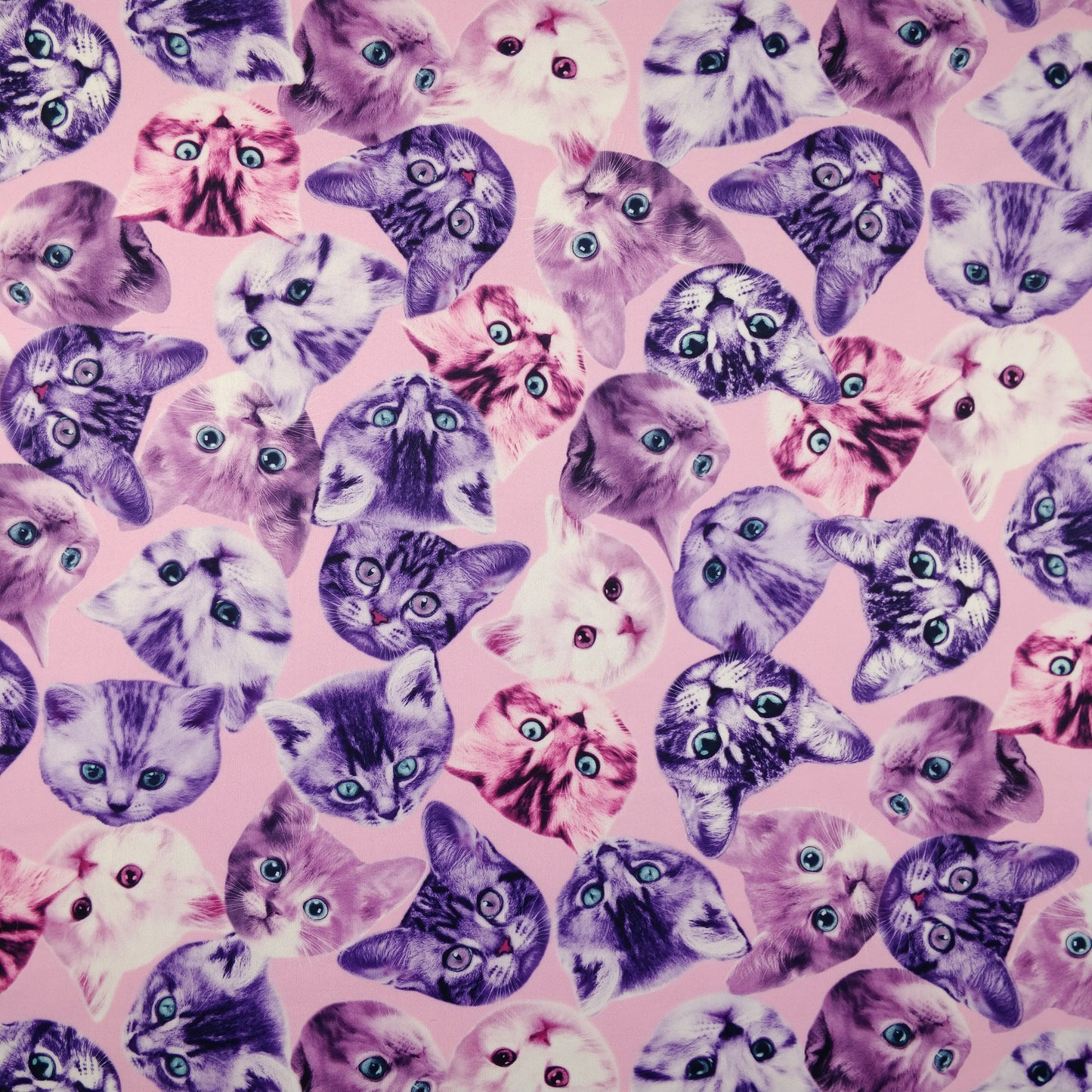 FS205_1 Purple Cats | Animal, Cat, Cats, children's, Conversational, drape, Fabric, fabricstyles, fashion fabric, Kids, Kiten, Kittens, Light Pink, making, Purple, Scuba | Fabric Styles