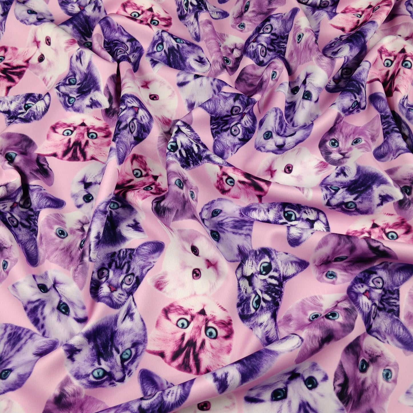 FS205_1 Purple Cats | Animal, Cat, Cats, children's, Conversational, drape, Fabric, fabricstyles, fashion fabric, Kids, Kiten, Kittens, Light Pink, making, Purple, Scuba | Fabric Styles