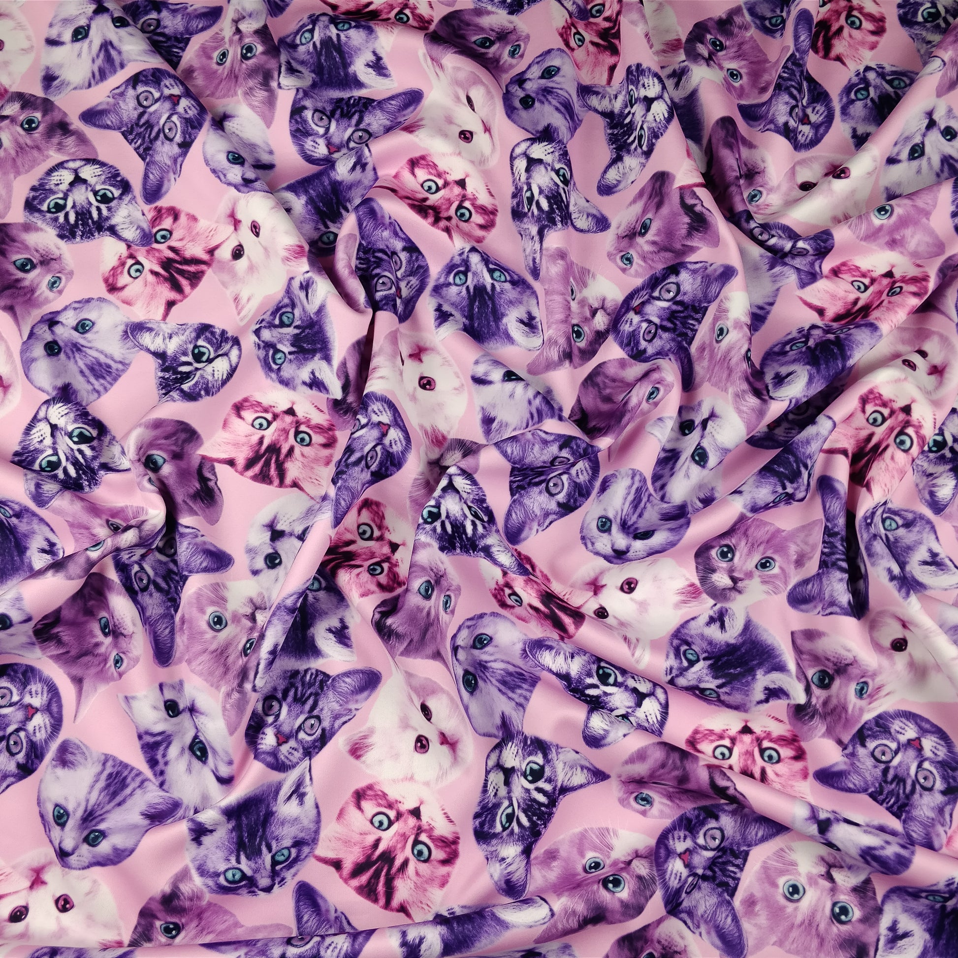 FS205_1 Purple Cats | Animal, Cat, Cats, children's, Conversational, drape, Fabric, fabricstyles, fashion fabric, Kids, Kiten, Kittens, Light Pink, making, Purple, Scuba | Fabric Styles