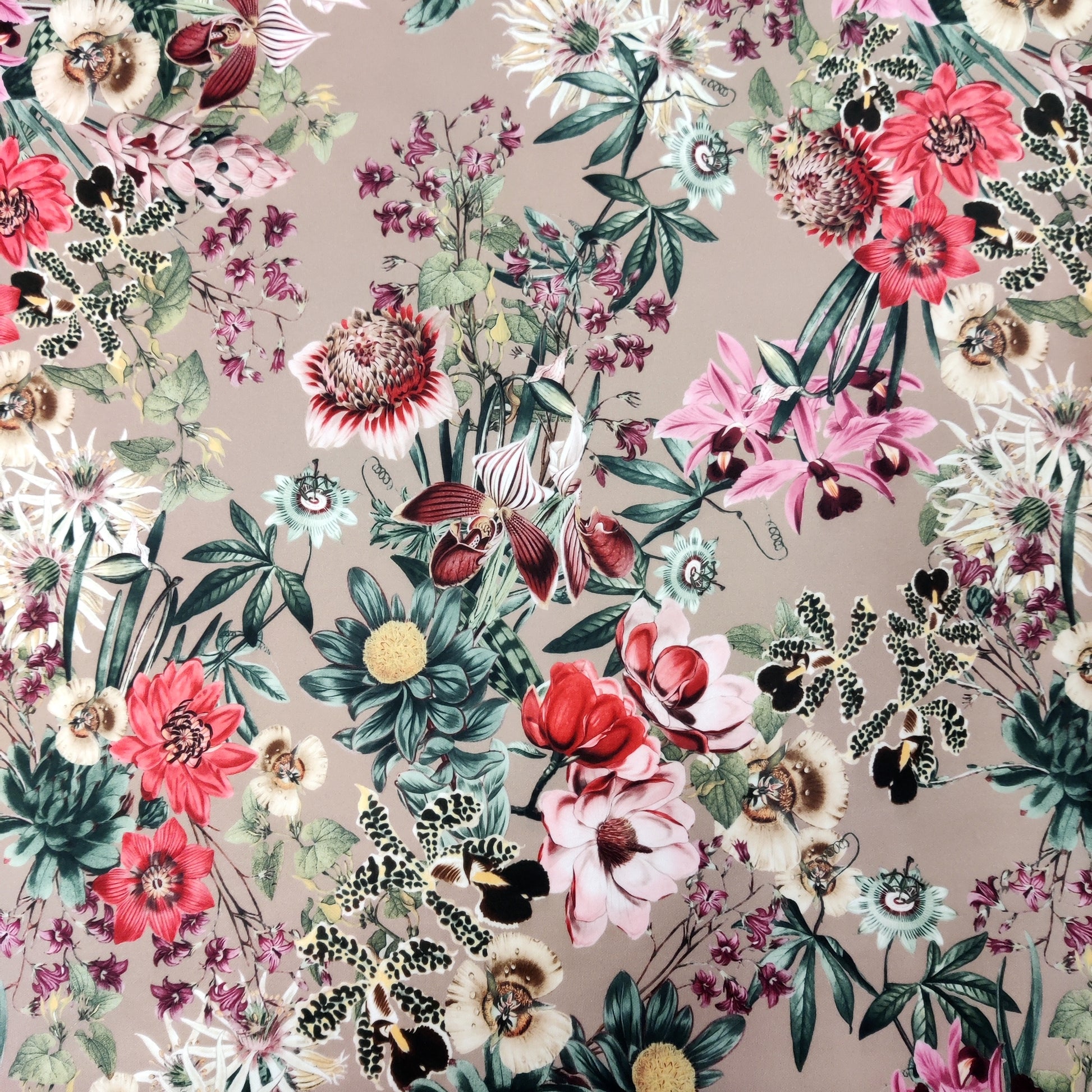 FS833 Mocca Floral | Fabric | fabric, Flower, jersey, Mink, Mocca, scuba, stretch, Taupe | Fabric Styles